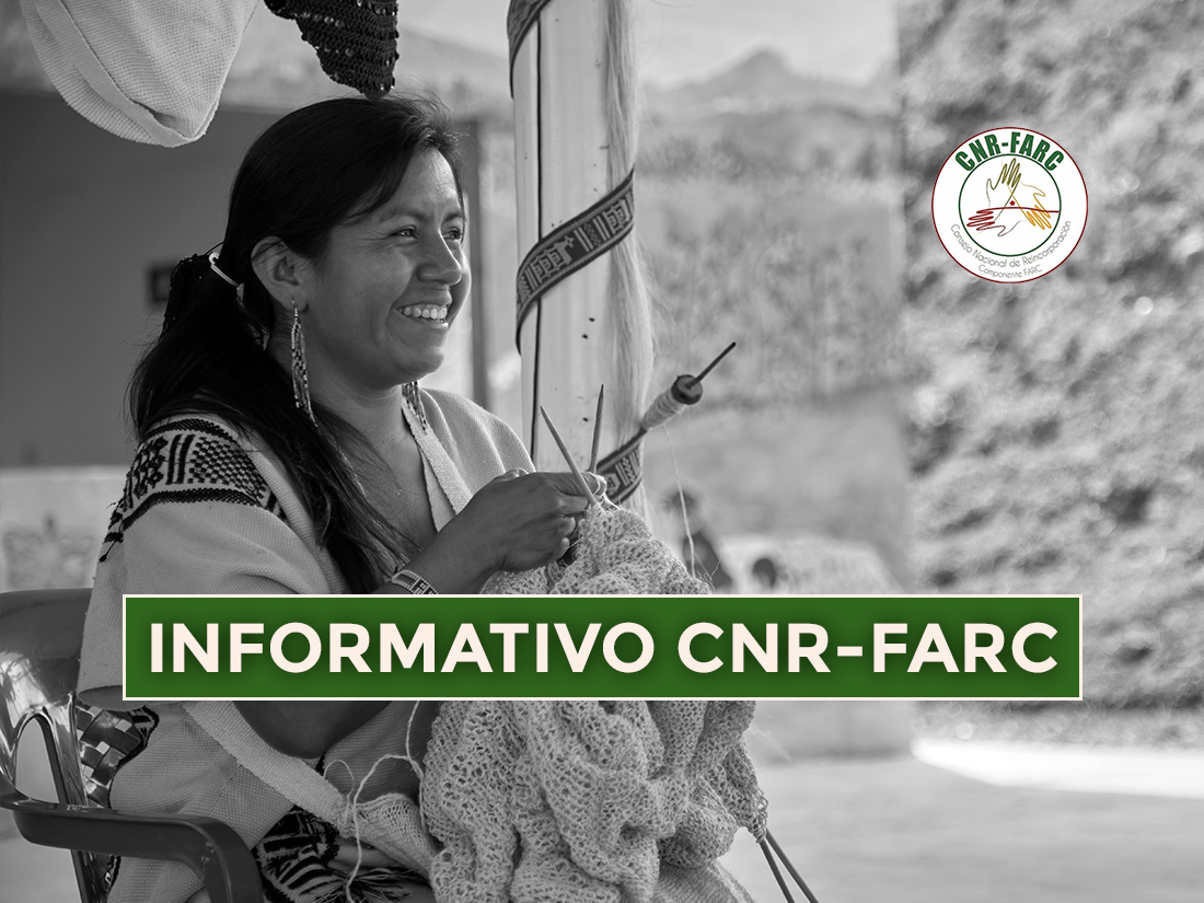 Informativo CNR-FARC