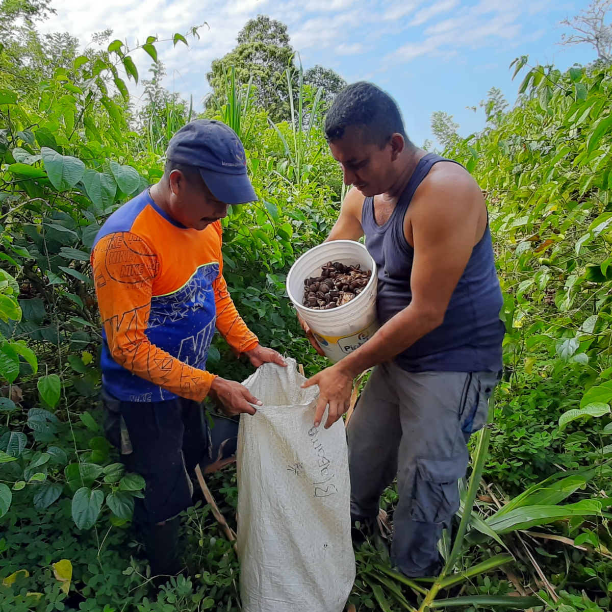 Proyectos productivos