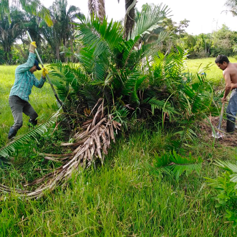 Trabajo cooperativo en el territorio